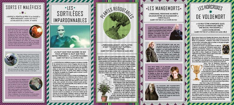 Magie Noire - Coffret magique du monde des sorciers - Harry Potter