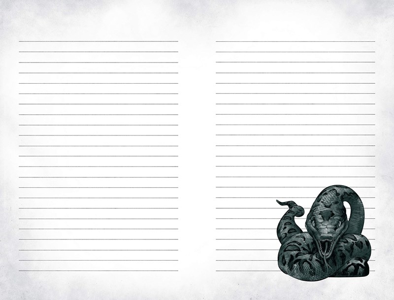 Coffret collector Dark Arts (Forces du Mal) - Harry Potter