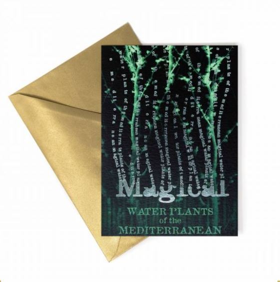 carte de voeux magical water plants of the mediterranean harry potter