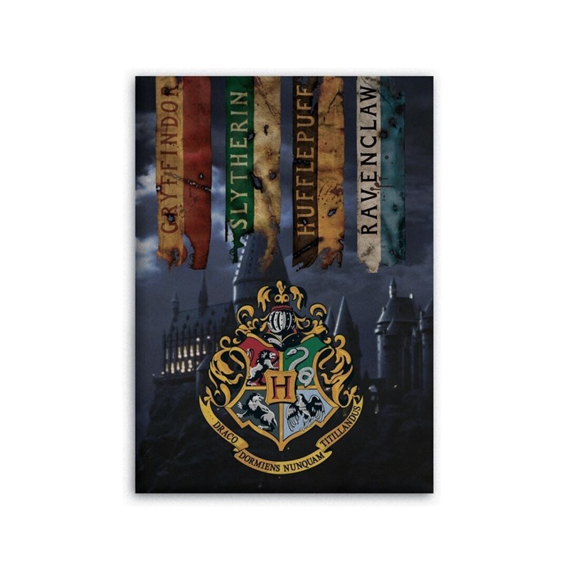 Plaid  polaire Harry Potter - Les 4 Maisons Poudlard