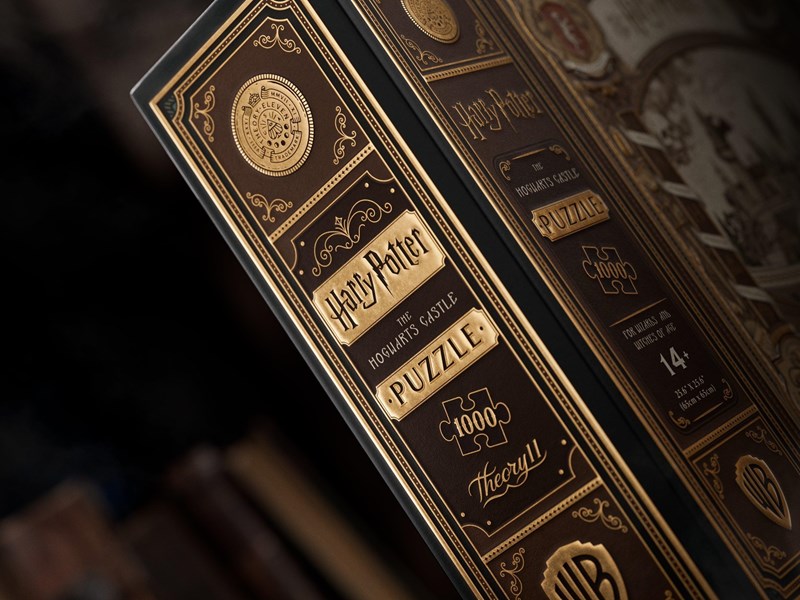 Puzzle Multidimensionnel Harry Potter - 1000 pièces