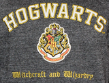 SWEAICCGHZ_2_sweatshirt-capuche-hogwarts-poudlard.png