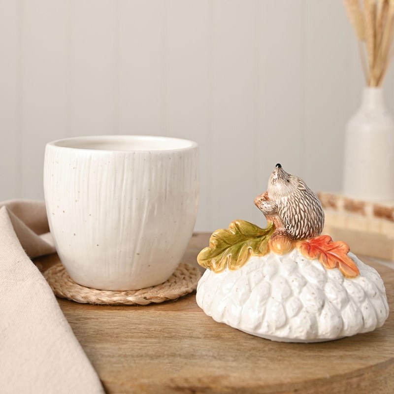 Pot de Rangement – Hérisson sur un Gland – Country Living®