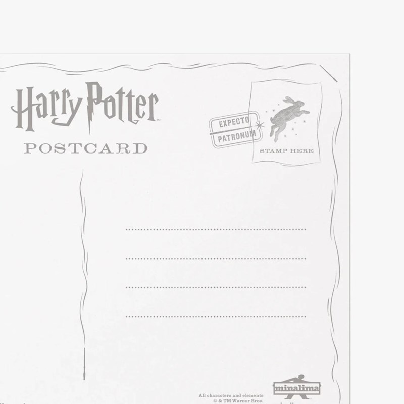 CARTES MYSTÈRE MINALIMA SERIE 04 - HARRY POTTER
