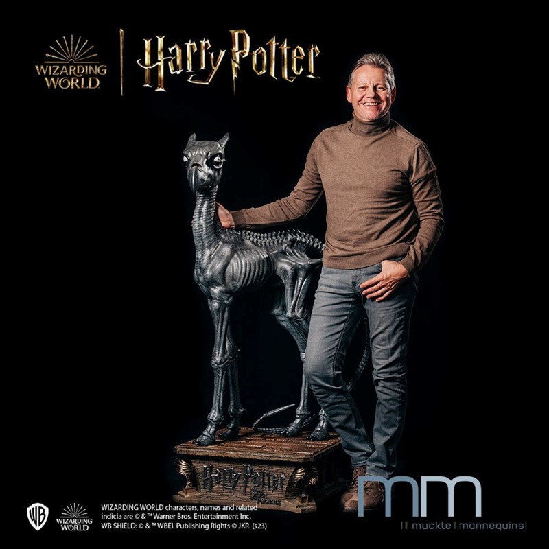 Statue taille réelle Sombral éd. lim. 444 ex. - Harry Pottrer