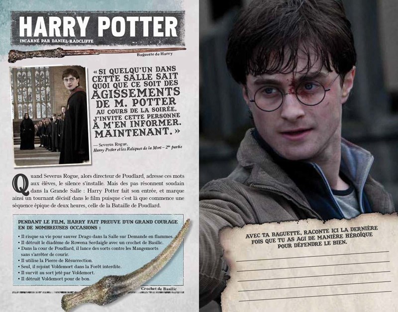 Livre La Bataille de Poudlard