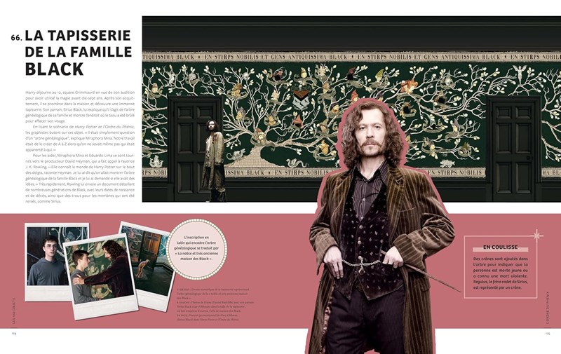 100 Objets cultes et emblématiques de la saga Harry Potter