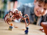 LEGOT6R91Z_5_LEGO-aragog-foret-interdite-76434-harry-potter5.jpg