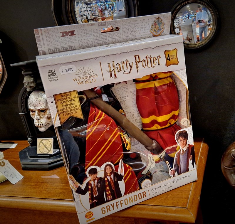 Déguisement enfant Harry Potter robe + accessoires