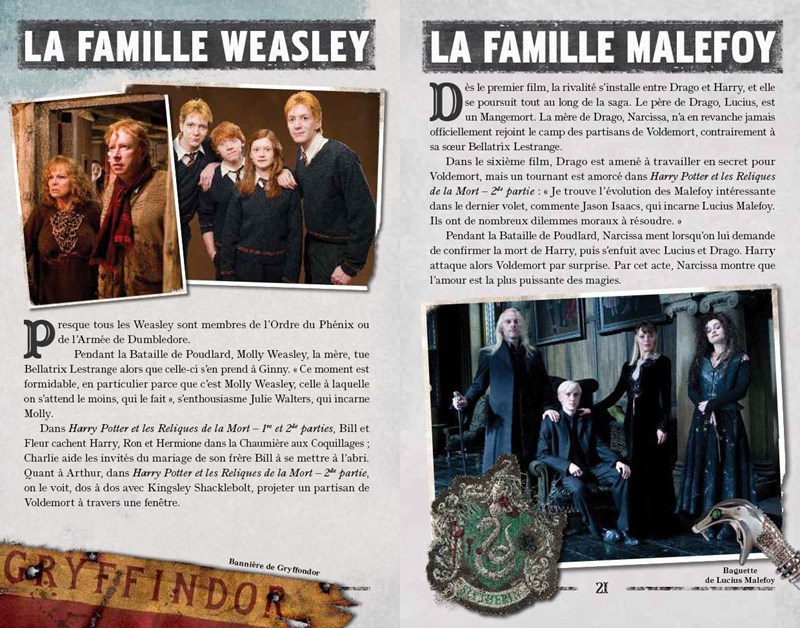 Livre La Bataille de Poudlard