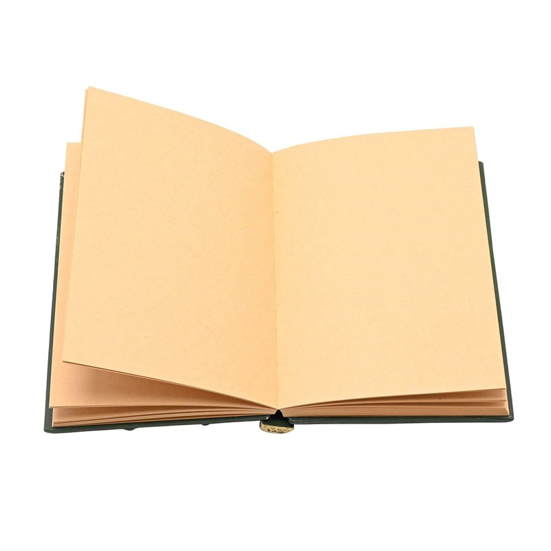 Carnet dragon vert 3D - Mystic Legends