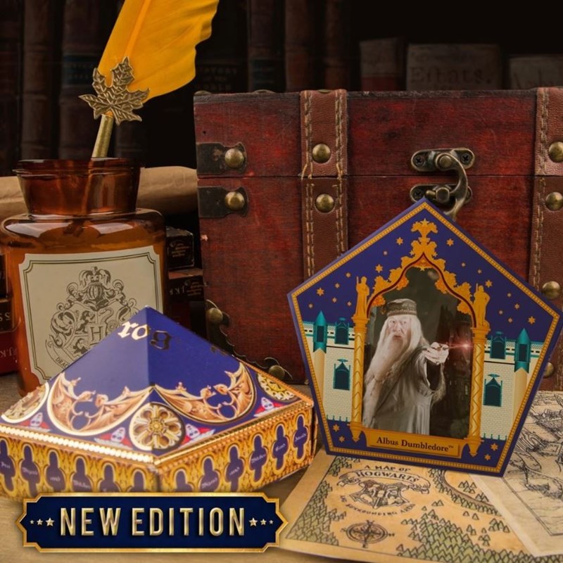 Moule Chocogrenouille Harry Potter